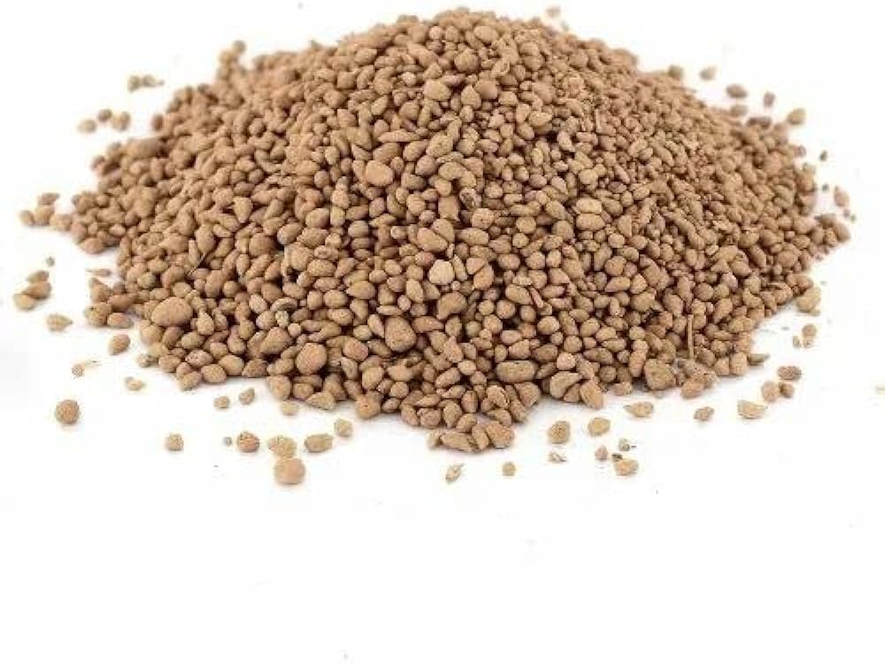 Lemon & Salted Ajwain (50g Pack)