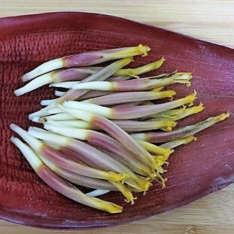 Mocha (Banana Blossom - Peeled)