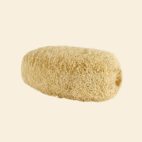 Natural Loofah sponge / Dhudhul