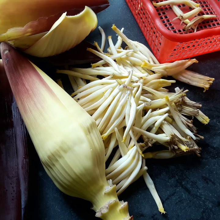 Mocha (Banana Blossom - Peeled)