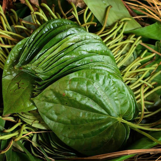 Puja Special Bangla Pata Pan Single Daati (32 Pc)