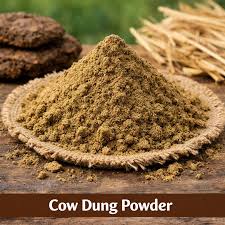 Natural & Desi Cow Dung Powder