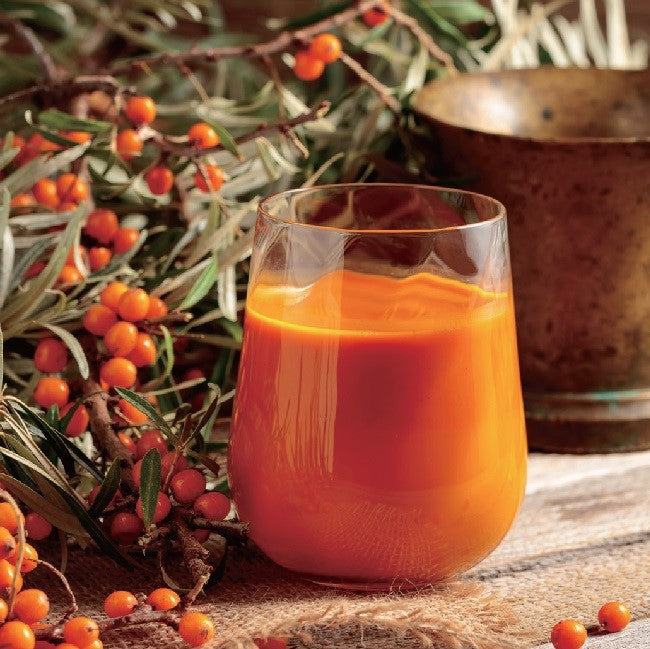 Sea Buckthorn Juice / Leh Berry / Chharma / Amesh (Hippophae Rhamnoides)